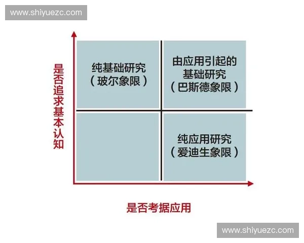 运动缓震片的科技创新与应用探索:提升舒适度与保护性能的关键技术解析 运动缓震片的科技创新与应用探索:提升舒适度与保护性能的关键技术解析